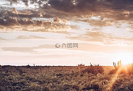 草,天空,云
