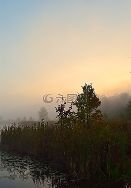 湖,薄霧,上午