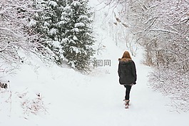雪,冬天,山