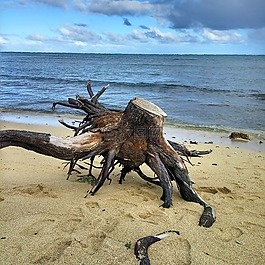 海灘,海景,海洋