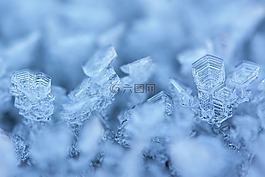 霜,eiskristalle,冬天