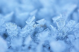 霜,eiskristalle,冬天