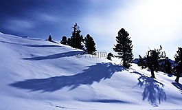 雪,冬天,山