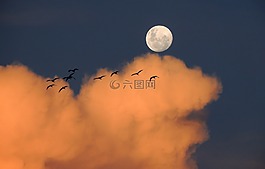 月亮,天空,云