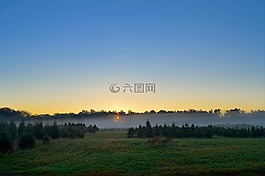 日出,薄霧,原野