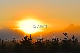 日出,薄霧,原野