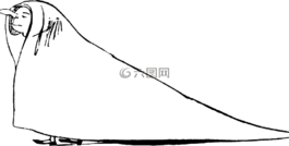 愛(ài)德華李爾,素描,釀酒
