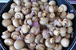 蘑菇,泛,維生素