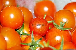 番茄,紅色,蔬菜