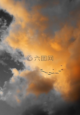 云,鳥,天空