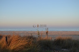 地平線,海,海灘