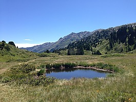 景觀,山,池塘