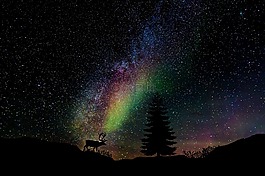 繁星點(diǎn)點(diǎn)的天空,星系,明星