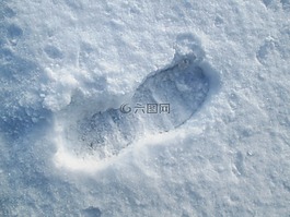 雪,跟蹤在雪中,再版