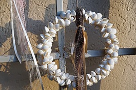 花環(huán),外殼,夏季