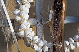 花環(huán),外殼,夏季