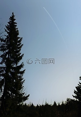 樹,天空,景觀