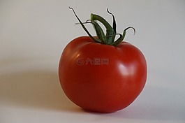 番茄,蔬菜,紅色