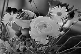 花,开花,斯特劳斯
