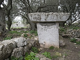 史前史,米諾卡,talaiot