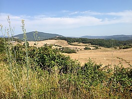 景觀,耕地,農(nóng)業(yè)