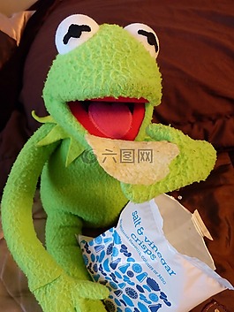 柯,青蛙,吃