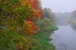 霧,景觀,早上