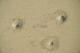 紋理,砂,海灘