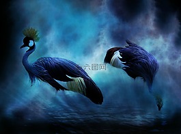 鳥類,起重機(jī),動(dòng)物