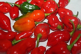 辣椒,紅,橙