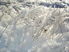冬天的心情,草,季節(jié)