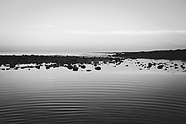 海,海洋,水