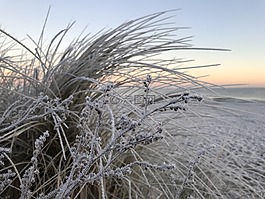 冬天,海灘,冰