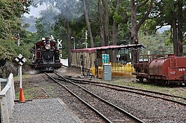 火車(chē),蒸汽,機(jī)車(chē)