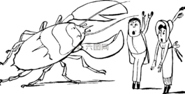 愛德華李爾,素描,釀酒