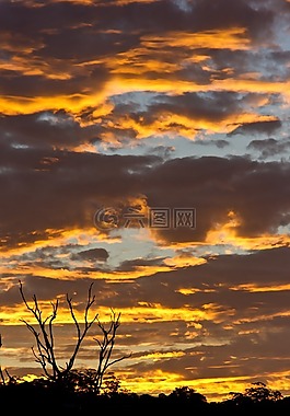 日落,天空,云