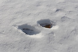 痕跡,雪,斯諾巷