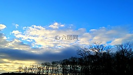 字段,森林,天空