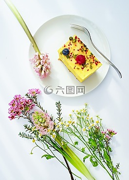 多彩,花,植物