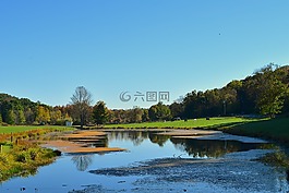 池,景觀,自然
