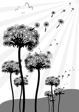 蒲公英,種子,性質(zhì)