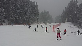 冬季,白云巖,雪