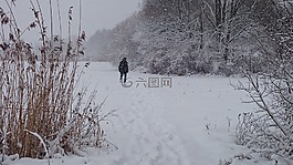 冬季,雪,七嘴八舌