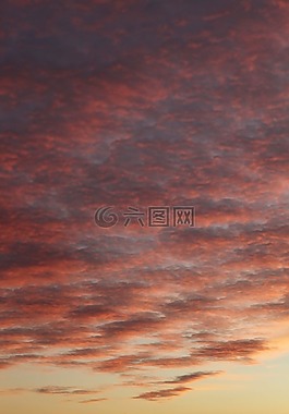 日落,海岸,海滩