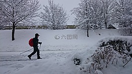 冬季,雪,北歐行走