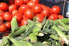 蕃茄,水果,食品