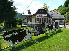 山,木屋,牛外觀