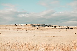 原野,干,干旱