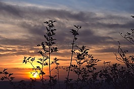日落,傍晚的天空,abendstimmung