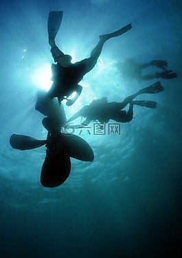 海,海洋,水